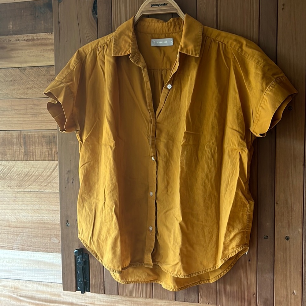 Everlane, size medium, hundred percent cotton